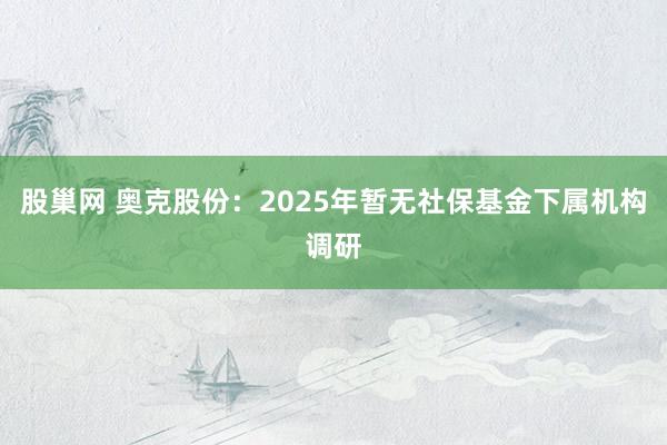 股巢网 奥克股份：2025年暂无社保基金下属机构调研