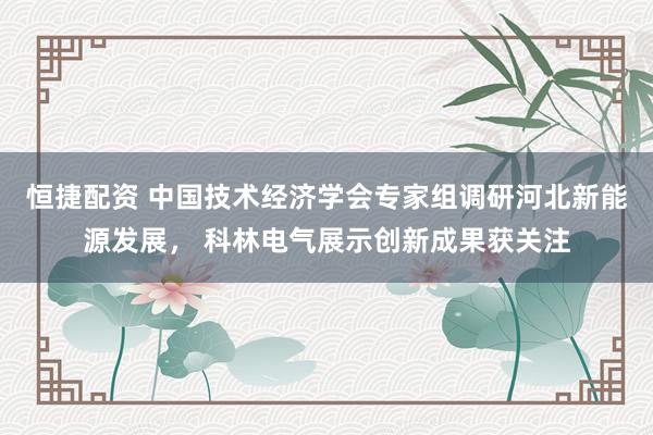恒捷配资 中国技术经济学会专家组调研河北新能源发展， 科林电气展示创新成果获关注