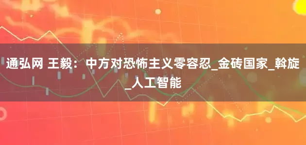 通弘网 王毅：中方对恐怖主义零容忍_金砖国家_斡旋_人工智能