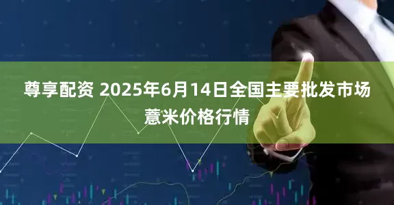 尊享配资 2025年6月14日全国主要批发市场薏米价格行情