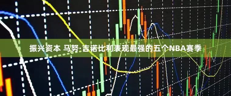 振兴资本 马努·吉诺比利表现最强的五个NBA赛季